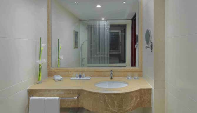 上海新世界丽笙大酒店 - 客用浴室